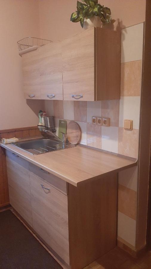 Guest House Vila Frýdštejn מראה חיצוני תמונה